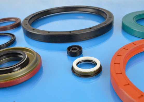 Small and Large Oil Seals